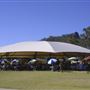 Ivory's Rock Conventions and Events - Overview