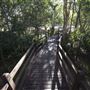 Bob Gibbs Park