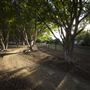 Cameron Park