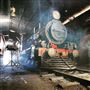 Queensland Pioneer Steam Railway