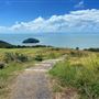 Kemp Beach and Bluff Point Scenic Walk