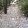 Mount Gravatt Outlook Reserve - Summit Track