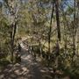 Karawatha Forest Park - Overview