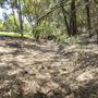 North Ipswich Wetlands Park