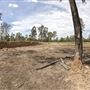 Willowbank MX