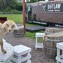 Bearded Dragon Boutique Hotel