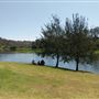 Parkland on the River - Colleges Crossing Recreation Reserve