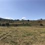 Rolling Hills & Pastures