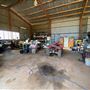 Dumbarton Cattle Station