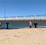 Redcliffe Jetty