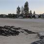 Elephant Rock Car Park / Currumbin Beach Vikings Surf Life Saving Club