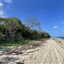 Rocky Point