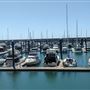 Mackay Harbour