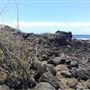 Barolin Point