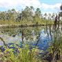Bribie Island National Park