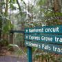 Mt Glorious