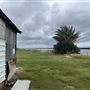 Cabbage Tree Point