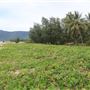 Wangetti Beach