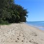 Yorkeys Knob Beach