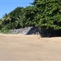 Trinity Beach