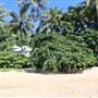 Trinity Beach