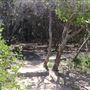 Third Bay Coolum