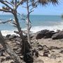 North of Boiling Pot/Tea Tree Bay