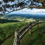 Millaa Millaa Lookout