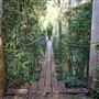 Peterson Creek Wildlife & Botanical Walking Track