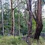 Hayes Property