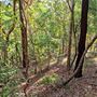 Hayes Property