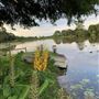 Magnolia Lakehouse Maleny