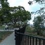 Wilson's Outlook Reserve