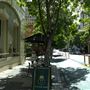 Edward Street
