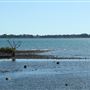 Cleveland Point