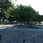 Victoria Point Public Boat Ramp