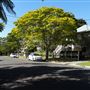 Graceville Streetscape