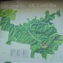 Mt Coot-tha Lookout