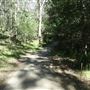 Cornubia Forest