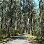 Daisy Hill Conservation Park