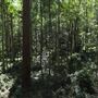 Daisy Hill Conservation Park