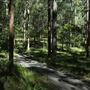 Daisy Hill Conservation Park