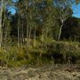 Hemmant Quarry Reserve