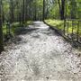 Venman Bushland