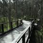 Boondall Wetlands