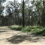 Boondall Wetlands