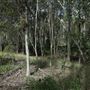 Boondall Wetlands