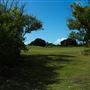Curlew Park - Cabbage Tree Creek