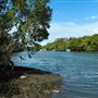 Curlew Park - Cabbage Tree Creek