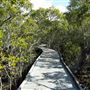 Nudgee Beach Wetlands Reserve